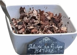 salade-de-poulpe-nature