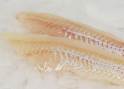 filet_de_julienne